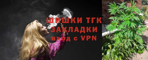 ПСИЛОЦИБИНОВЫЕ ГРИБЫ Абаза