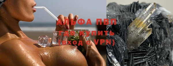 ПСИЛОЦИБИНОВЫЕ ГРИБЫ Абаза
